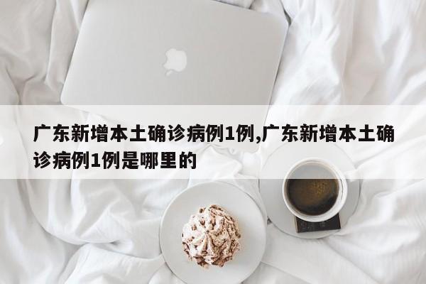 广东新增本土确诊病例1例,广东新增本土确诊病例1例是哪里的